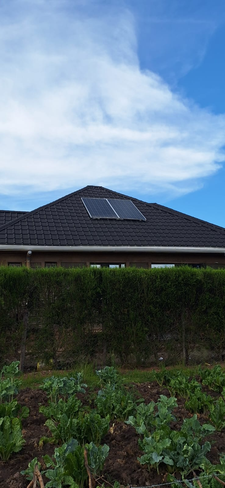 Roofing Project
